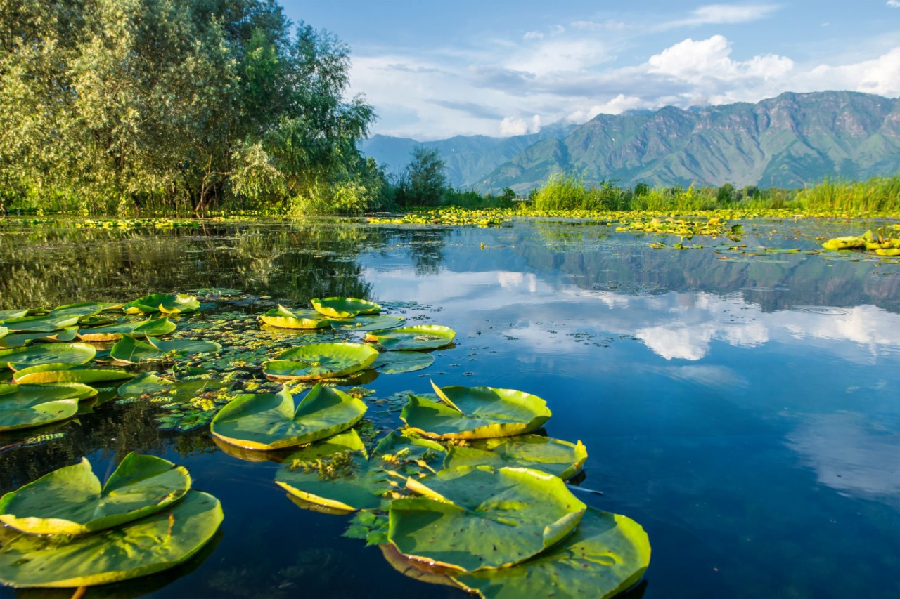 kashmir-tour-package